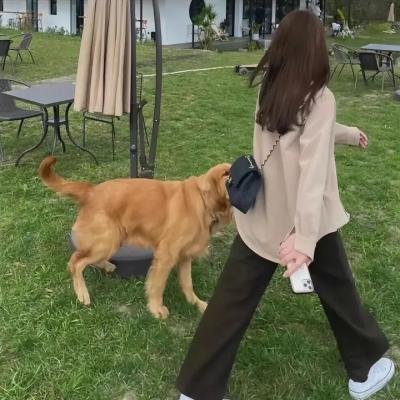 铁骑雄师